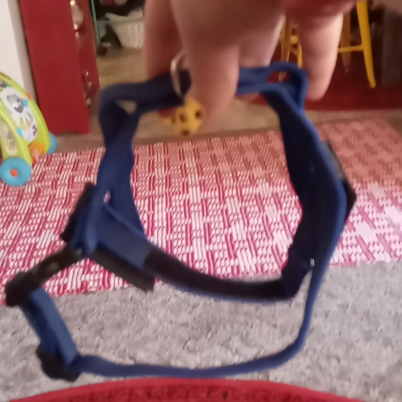 Julius k-9 dog harness - Picture 2 of 4